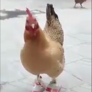 Meet your Posher, Melanie